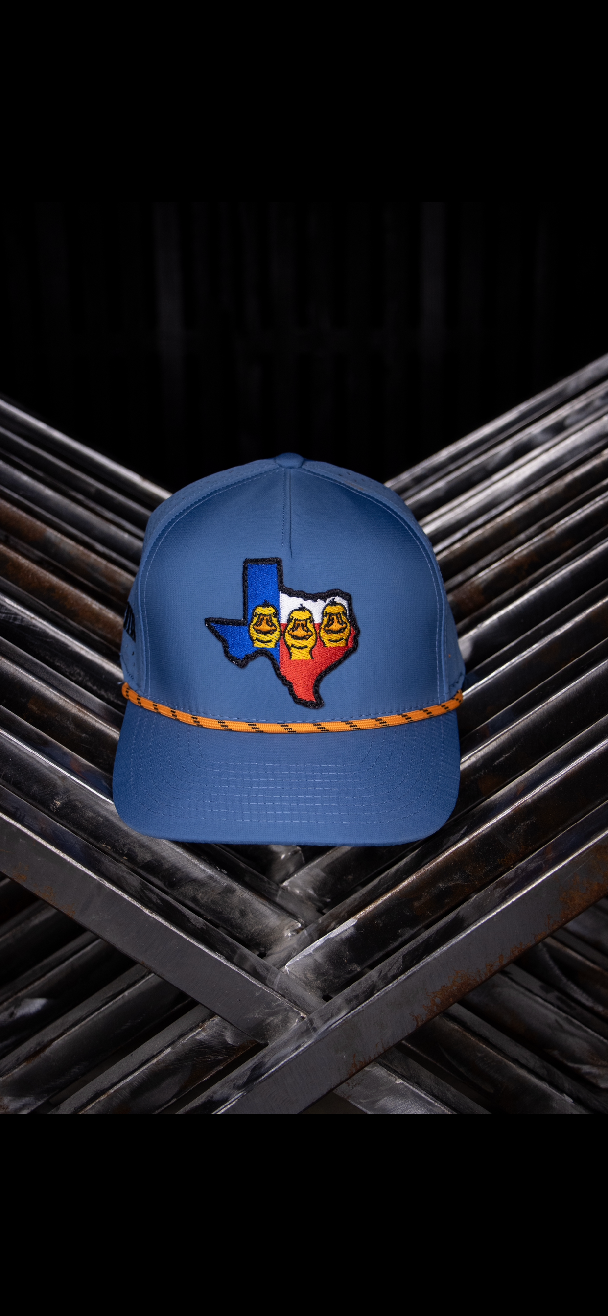 Don’t Duck with Texas